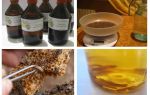 Indicações e contra-indicações de traça de cera de tintura