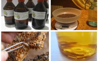 Indicações e contra-indicações de traça de cera de tintura