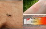 Como e como remover a coceira de picadas de mosquito em uma criança e um adulto