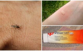Como e como remover a coceira de picadas de mosquito em uma criança e um adulto
