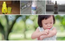 Meios eficazes de mosquitos para crianças a partir de 1 ano