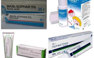 As melhores pomadas para piolhos e lêndeas