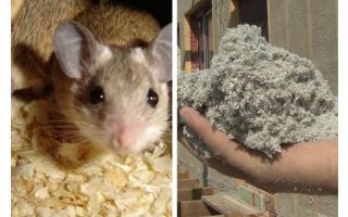 Que tipo de isolamento não comem ratos