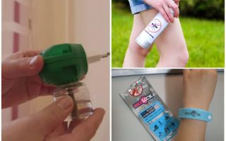 Os melhores repelentes contra mosquitos e moscas negras