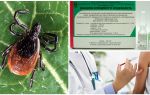 Vacina contra encefalite transmitida por carrapatos