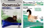 Gotas de pulgas da linha de frente para gatos
