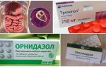 Os melhores medicamentos para o tratamento da Giardia em adultos