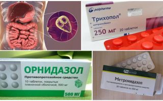 Os melhores medicamentos para o tratamento da Giardia em adultos