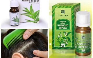 Óleo de tea tree para piolhos e lêndeas