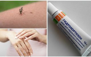 Pomada de hidrocortisona para picadas de mosquito
