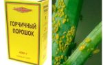 Mostarda de Aphid