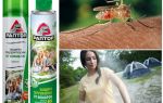 Protegendo o território dos mosquitos Raptor
