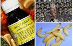 Extrato de larvas de traça de cera