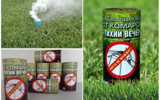 Os melhores verificadores de fumaça para mosquitos