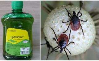 Instruções de uso Cifox de carrapatos