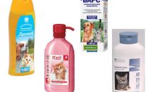 Revisão dos meios mais eficazes de pulgas para gatos