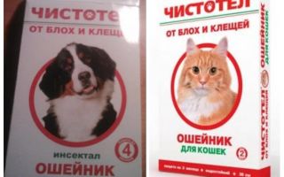 Colar de celandine da pulga para gatos e cães