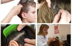 Pediculose na escola - para onde ir e o que fazer