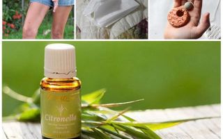Óleo essencial de citronela contra mosquitos