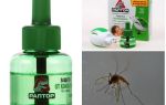 Significa Raptor para mosquitos