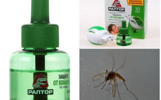 Significa Raptor para mosquitos