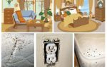 Luta eficaz com percevejos no apartamento