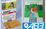 Deixa cair o Leopard para gatos e cães de pulgas e carraças