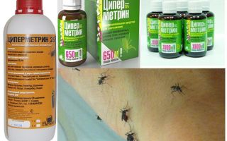 Significa Tsipermetrin contra mosquitos