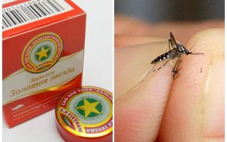 Mosquito estrela bálsamo