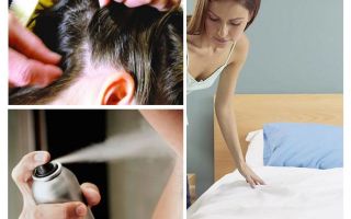 Memorando sobre pediculose para pais