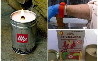 Velas de mosquito
