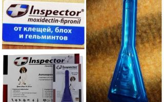 Gotas Inspector para cães para pulgas