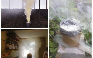 Bombas de fumaça de baratas