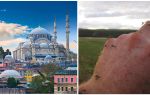 Existem mosquitos na Turquia?