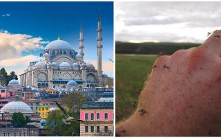 Existem mosquitos na Turquia?