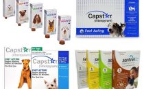 Comprimidos para pulgas e carraças para cães