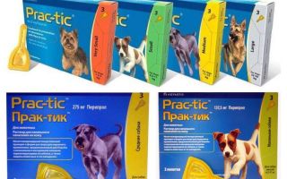 Gotas Práticas de pulgas e carrapatos para cães