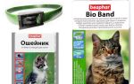 Colar Beafar de pulgas para gatos e cães