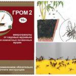 Trovão 2 dos mosquitos
