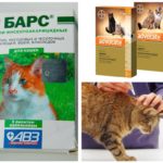 Gotas de pulgas para gatos