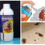 Remédio Cucaracha para percevejos