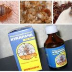 Remédio Cucaracha para percevejos-1