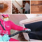 Tratamento de quarto para percevejos