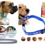 Colar de pulgas para cães