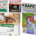 Gotas de pulgas para gatos-1
