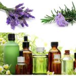 Alecrim e lavanda