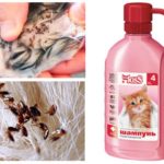 Shampoo de pulgas para gatinhos