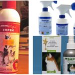 Sprays de pulgas em gatos