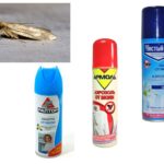 Spray de mariposa