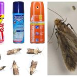 Sprays traça